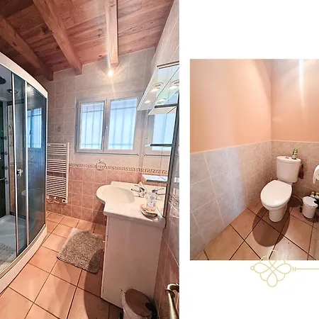 Maison 10 Personnes En Vallee D'ossau, 2 Wc, 2 Salles De Bain Prázdninový dům Gere-Belesten